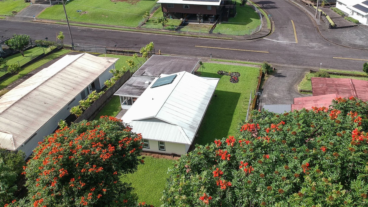 Photo of Others in Hilo