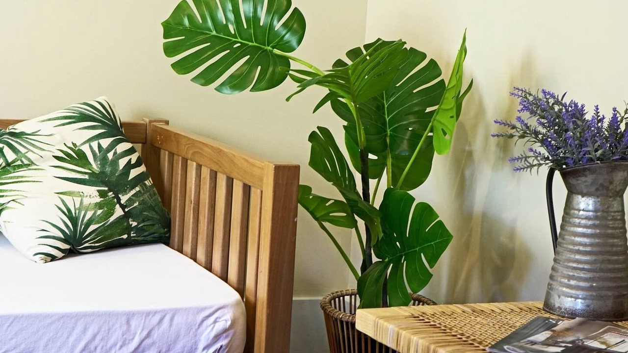 Photo of Bedroom in Waialee