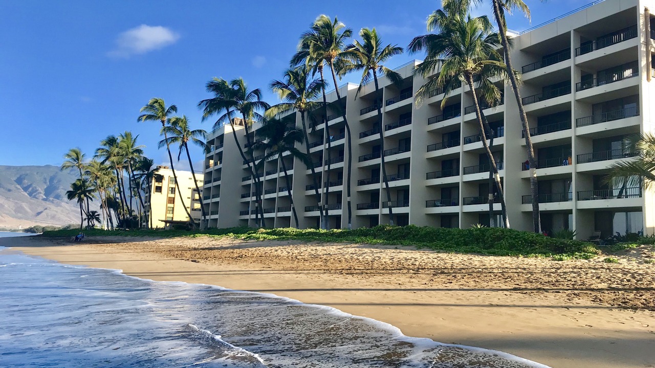 Photo of Others in Kihei