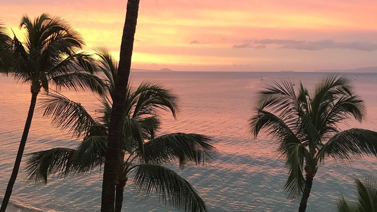 Photo of Others in Kihei