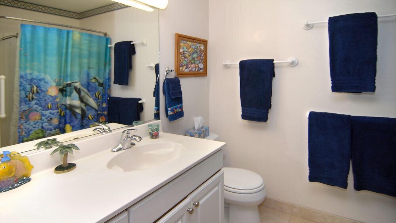 Photo of Bathroom in Kihei