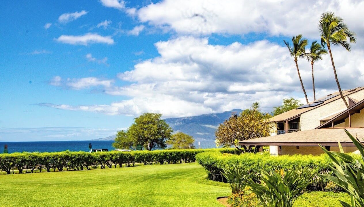 Photo of Others in Kihei