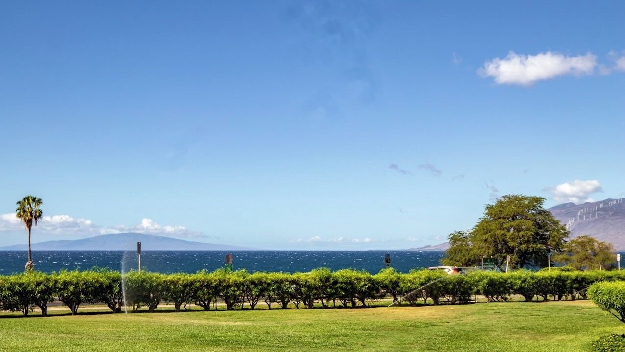 Photo of Others in Kihei