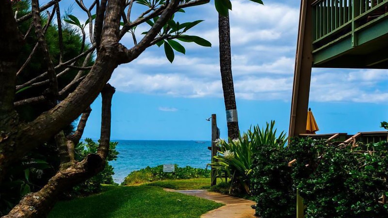Photo of Others in Kihei