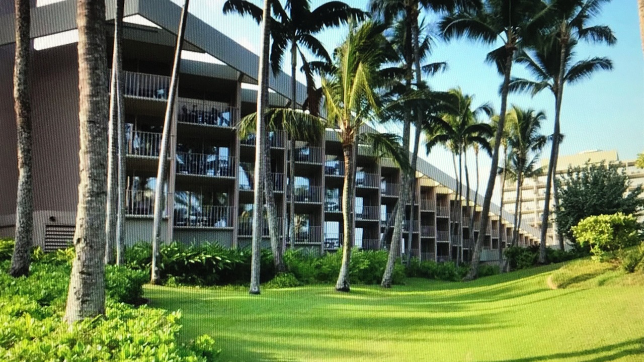 Photo of Outdoor in Lihue