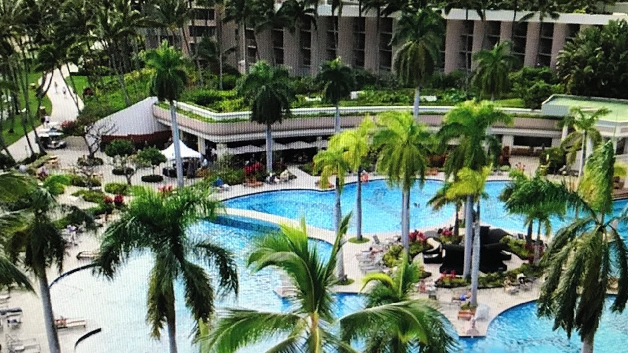 Photo of Outdoor in Lihue