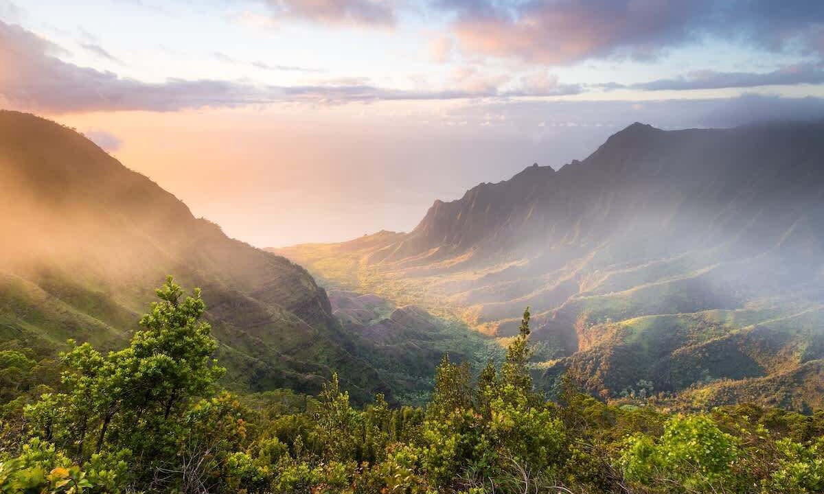 Photo of Others in Wailua