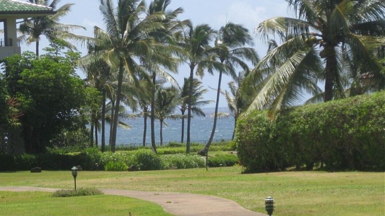 Photo of Others in Poipu