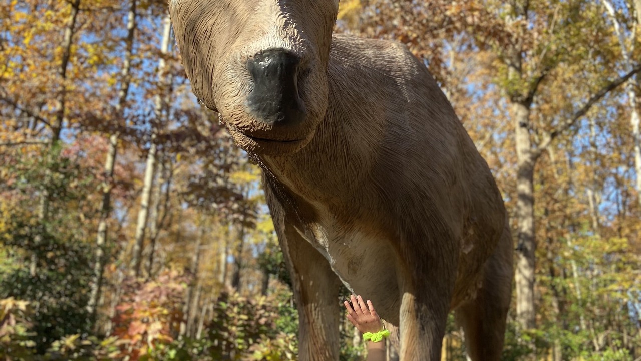 Photo of Outdoor in Bentonville