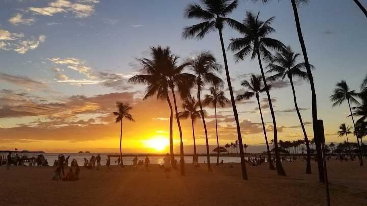 Photo of Others in Waikiki