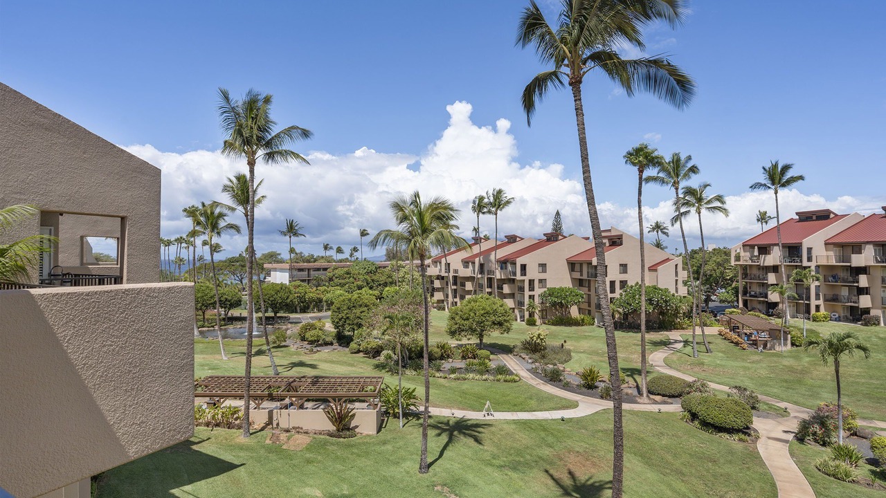 Photo of Outdoor in Kihei