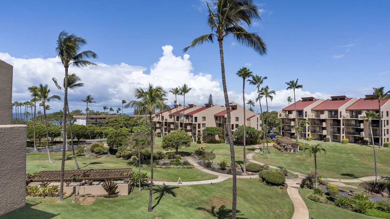 Photo of Outdoor in Kihei