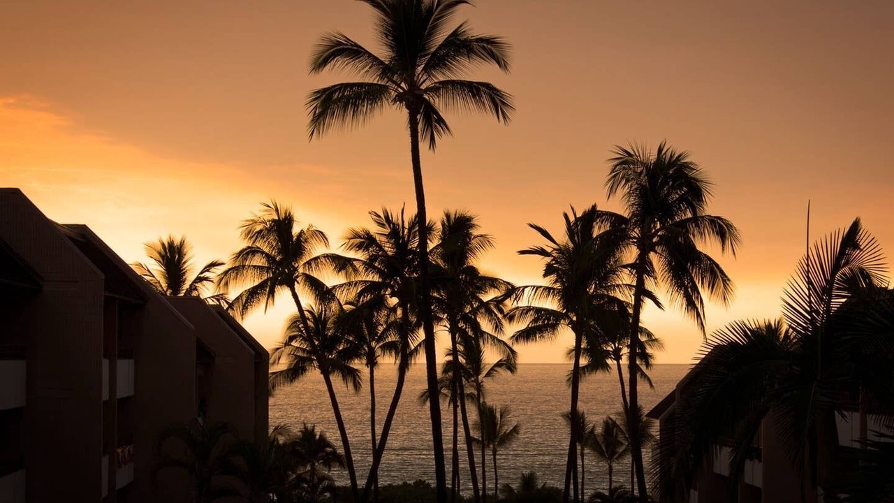 Photo of Others in Kahaluu Bay