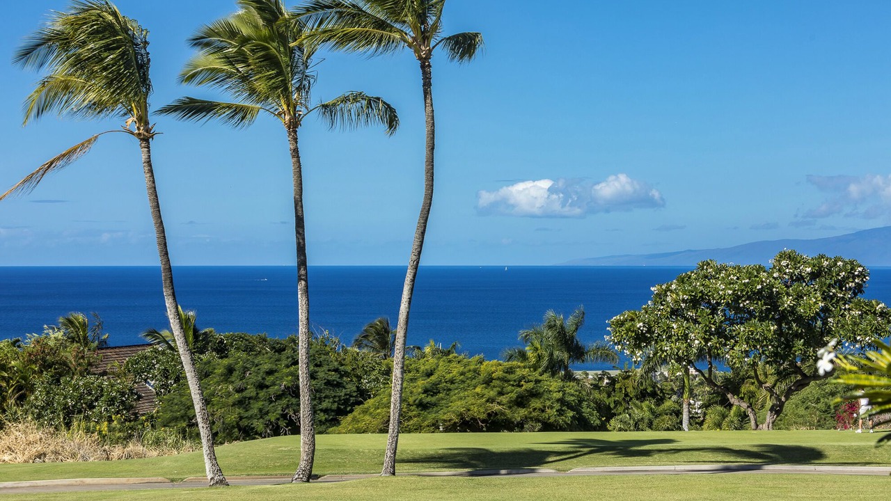Photo of Others in Wailea