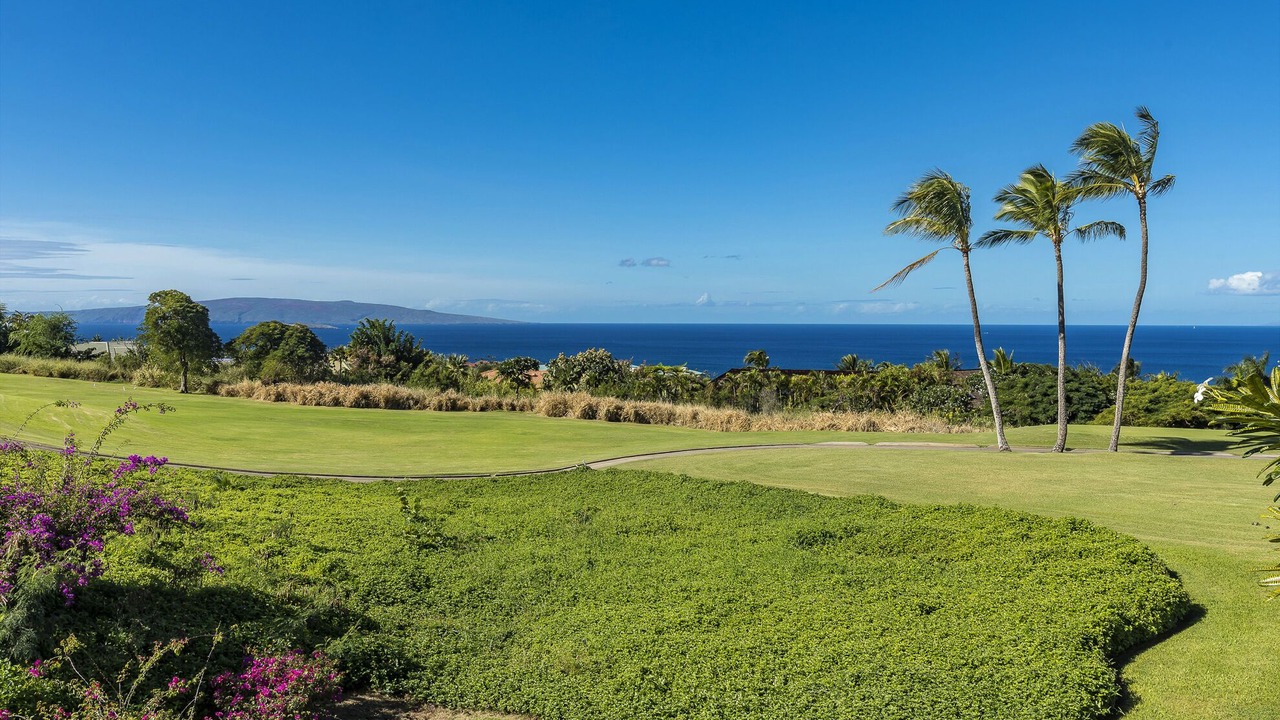 Photo of Others in Wailea