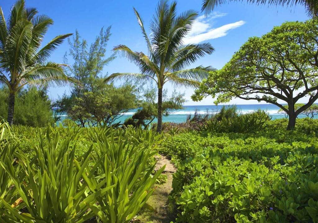 Photo of Outdoor in Lihue