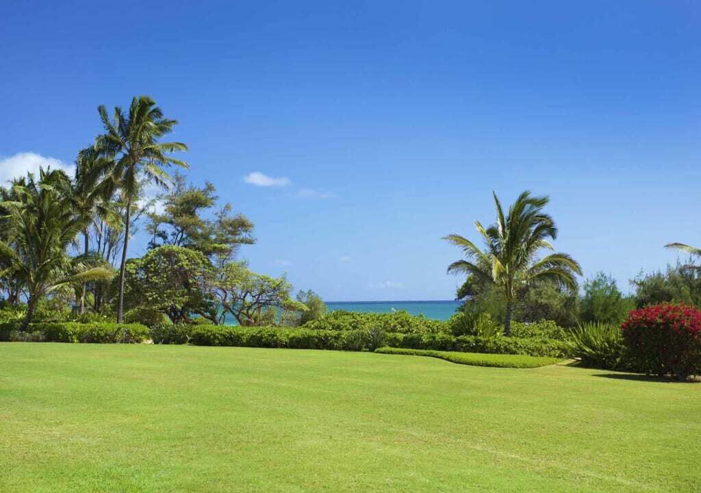 Photo of Others in Lihue