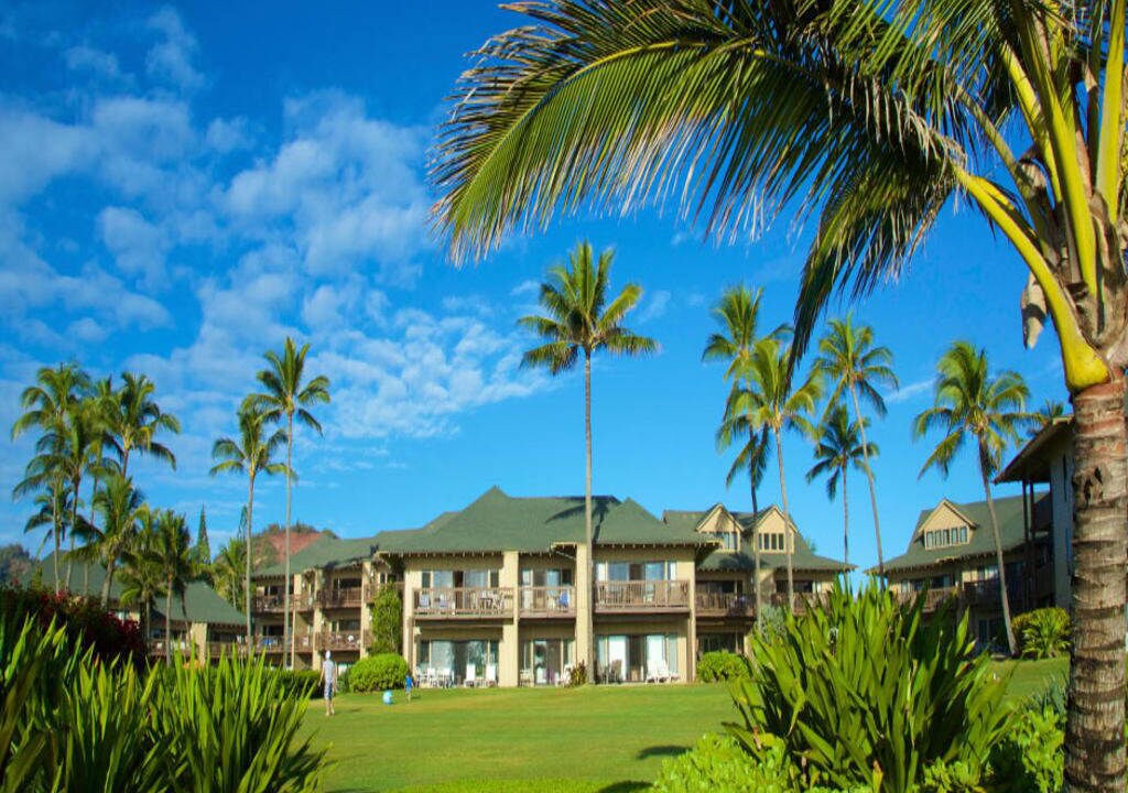 Photo of Outdoor in Lihue