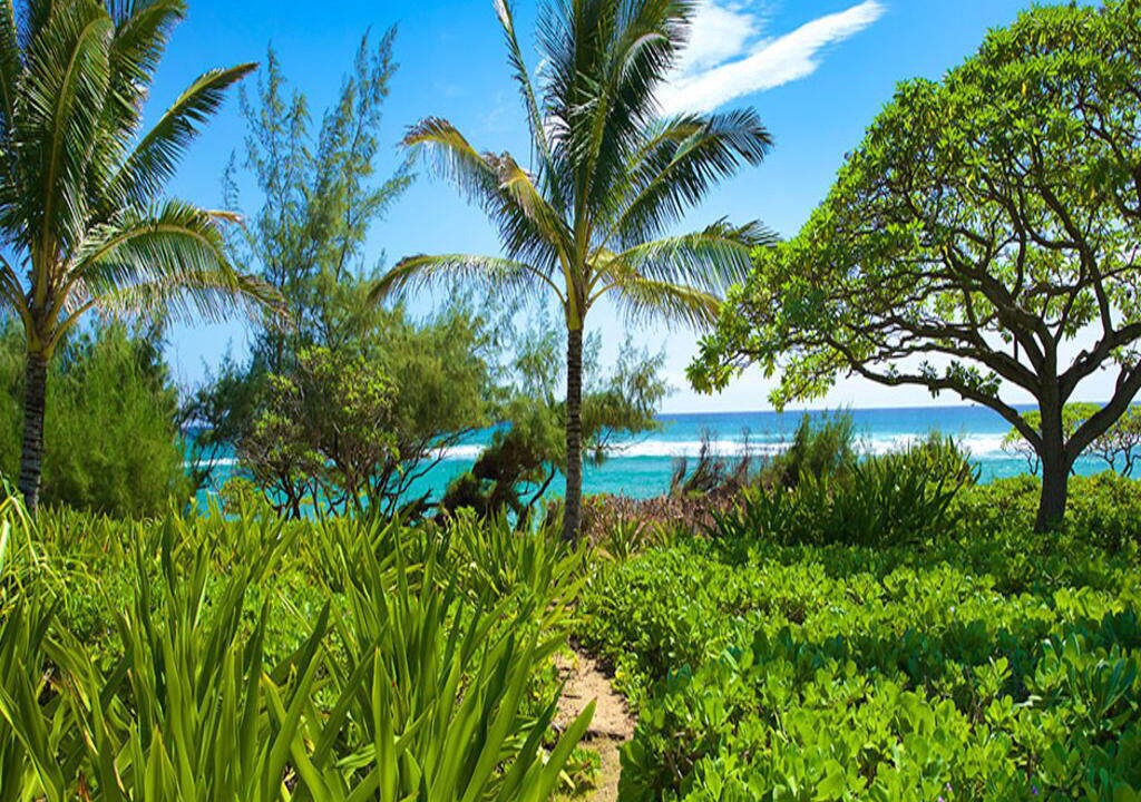 Photo of Outdoor in Lihue