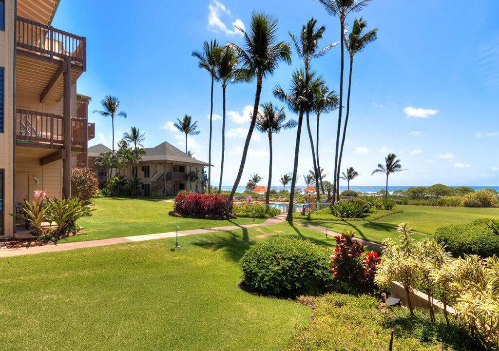Photo of Outdoor in Lihue
