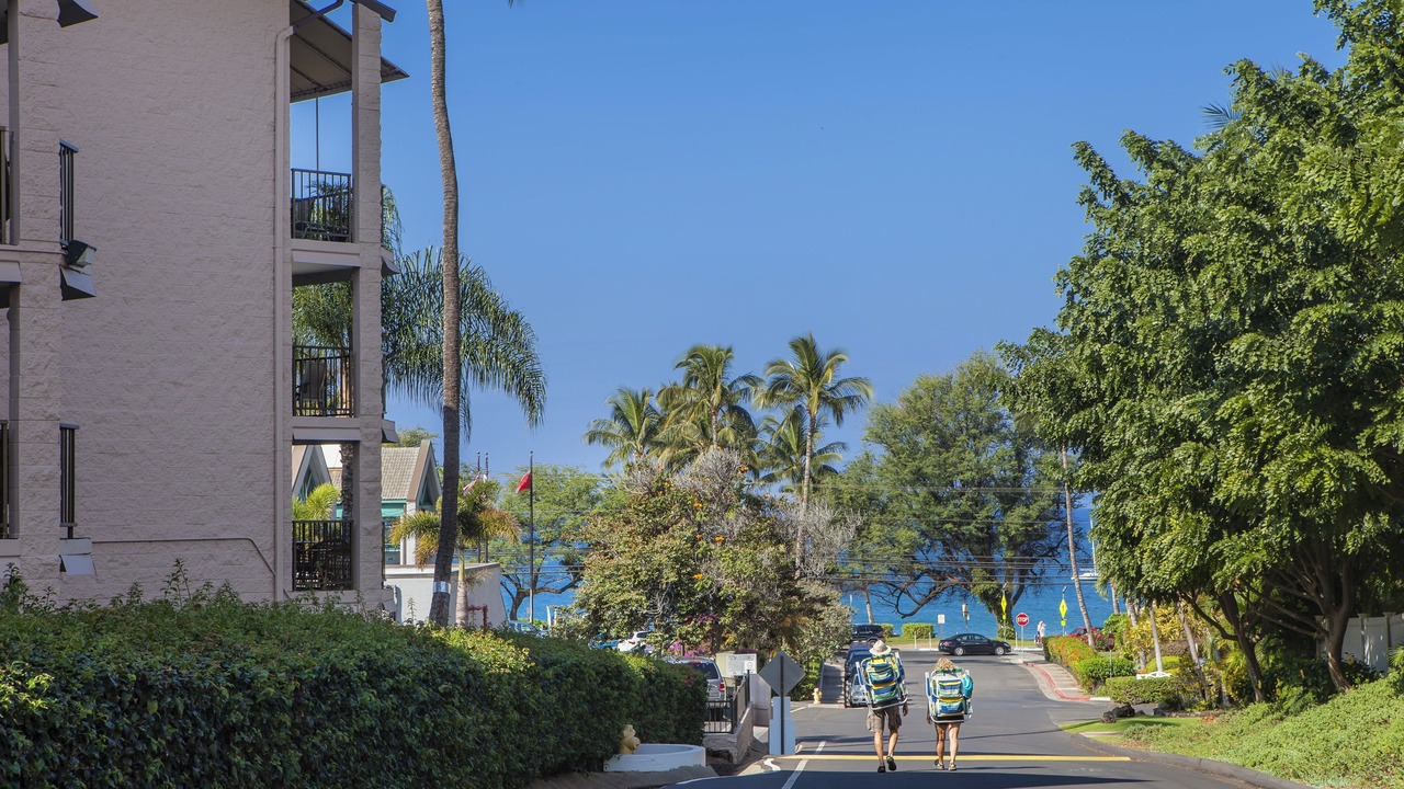 Photo of Others in Kihei