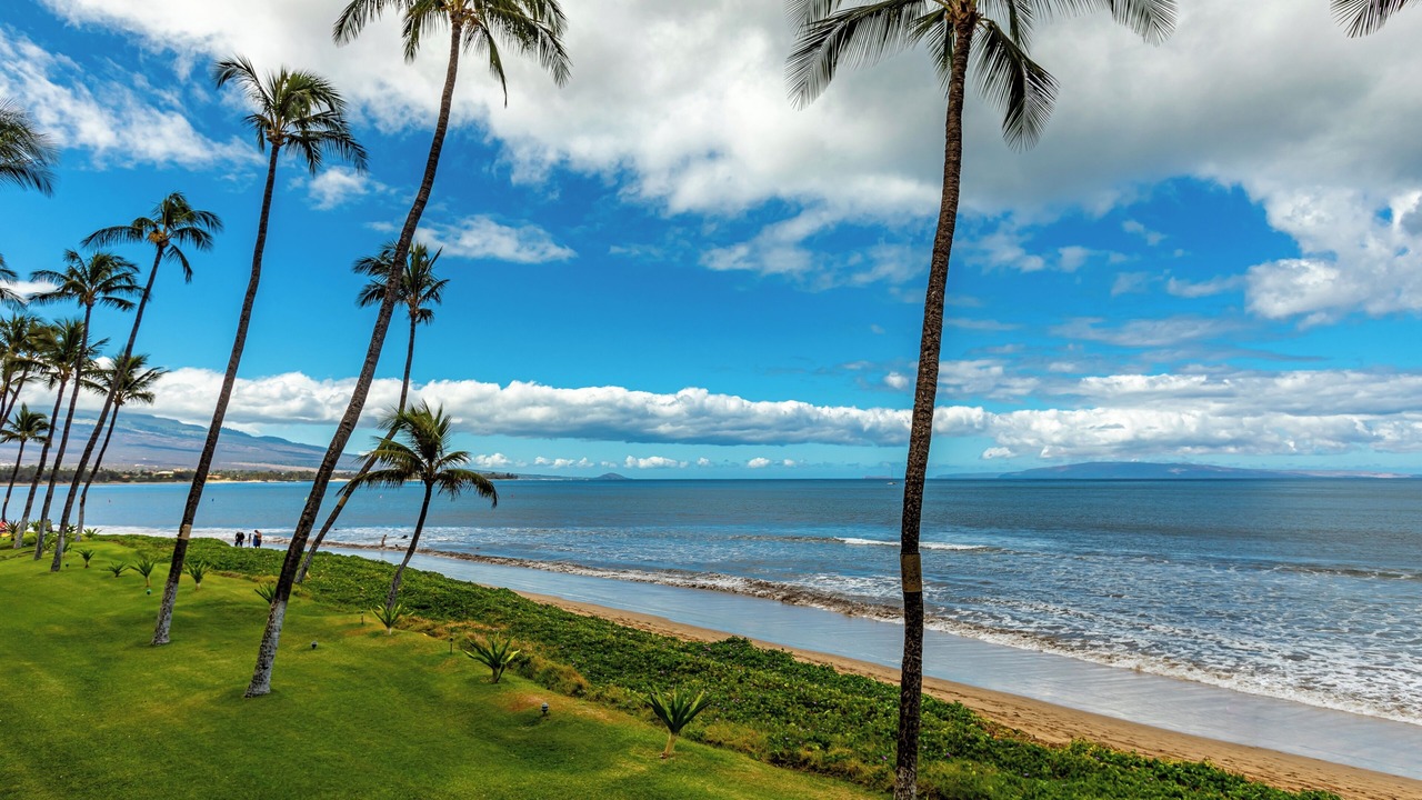 Photo of Others in Kihei