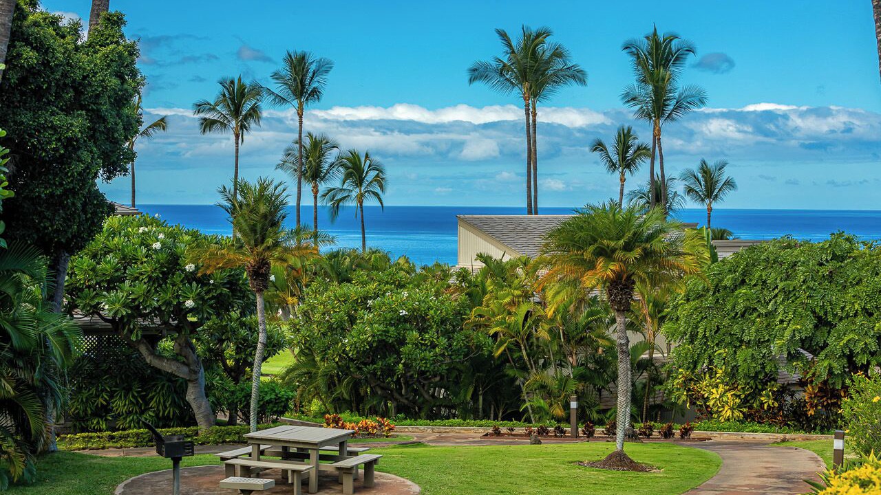 Photo of Others in Wailea