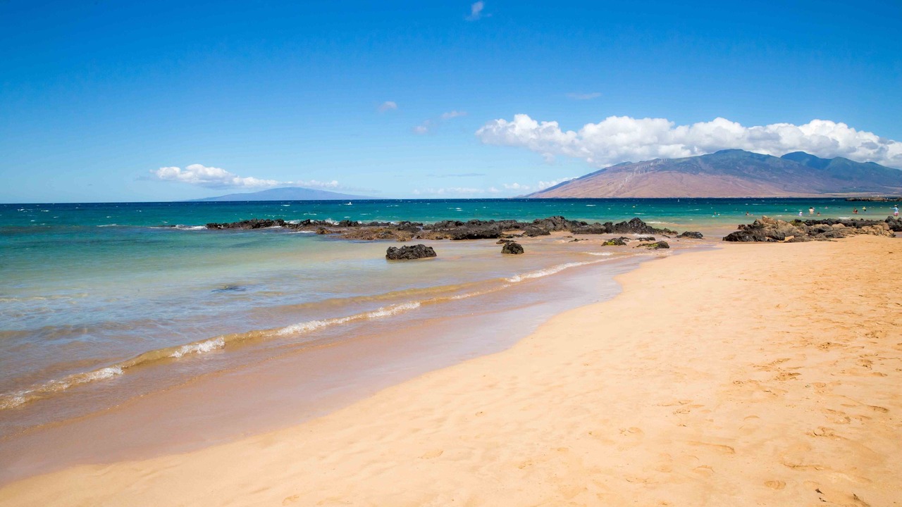 Photo of Others in Kihei