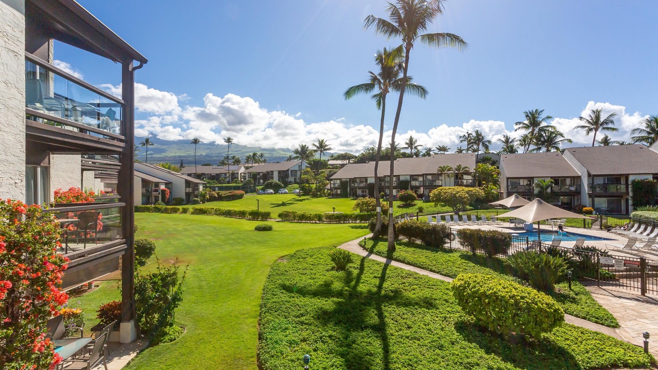 Photo of Outdoor in Kihei