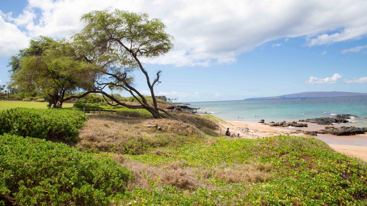 Photo of Others in Kihei