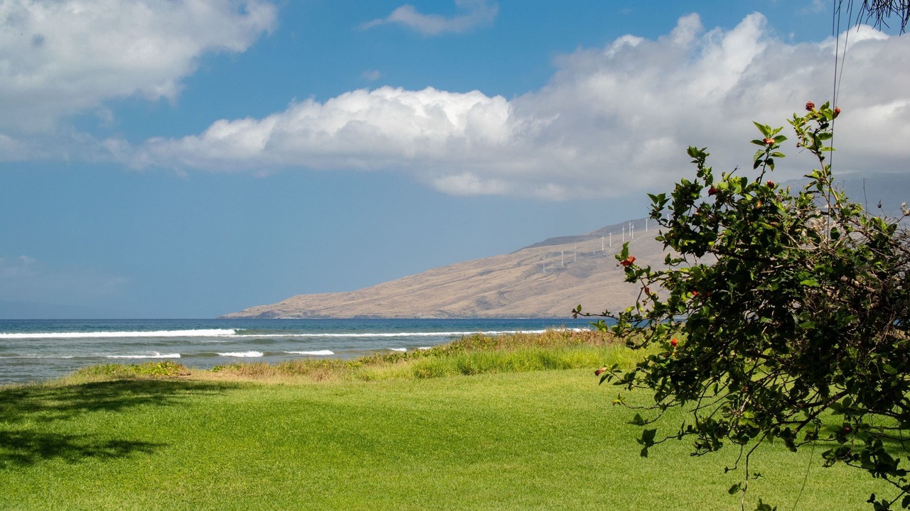Photo of Others in Kihei