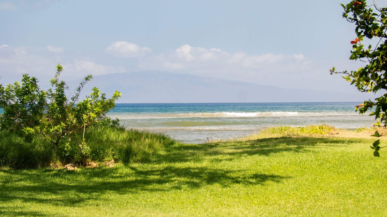 Photo of Others in Kihei