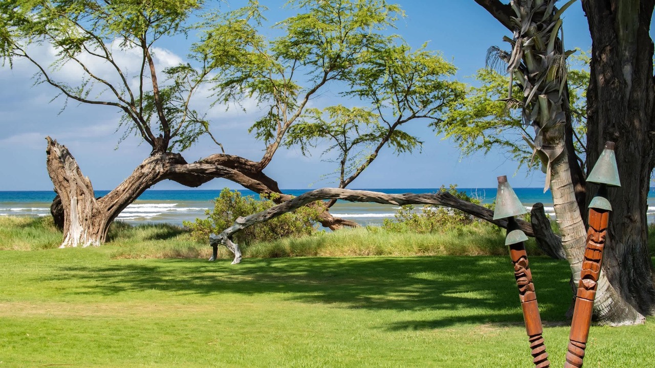 Photo of Others in Kihei