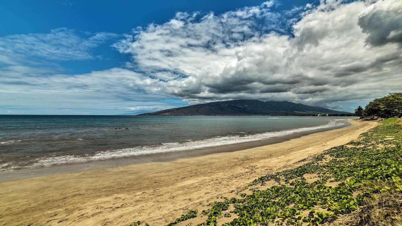 Photo of Others in Kihei