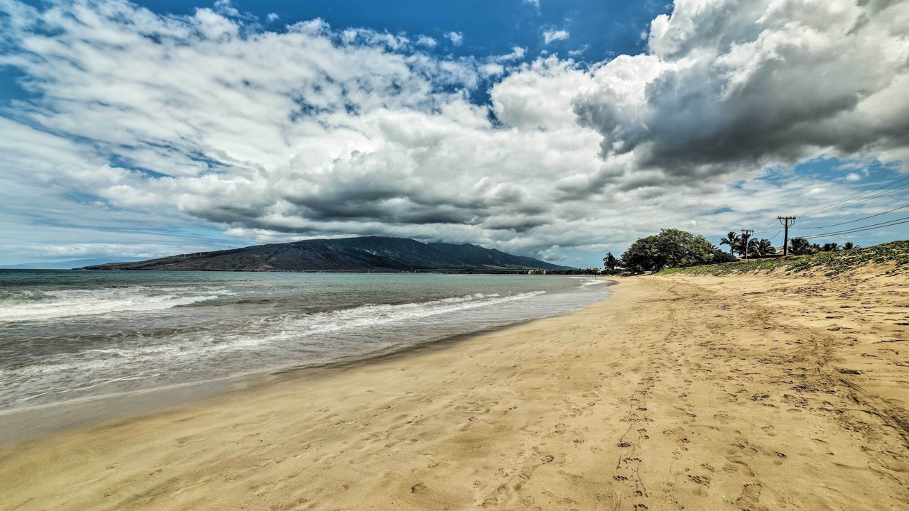 Photo of Others in Kihei