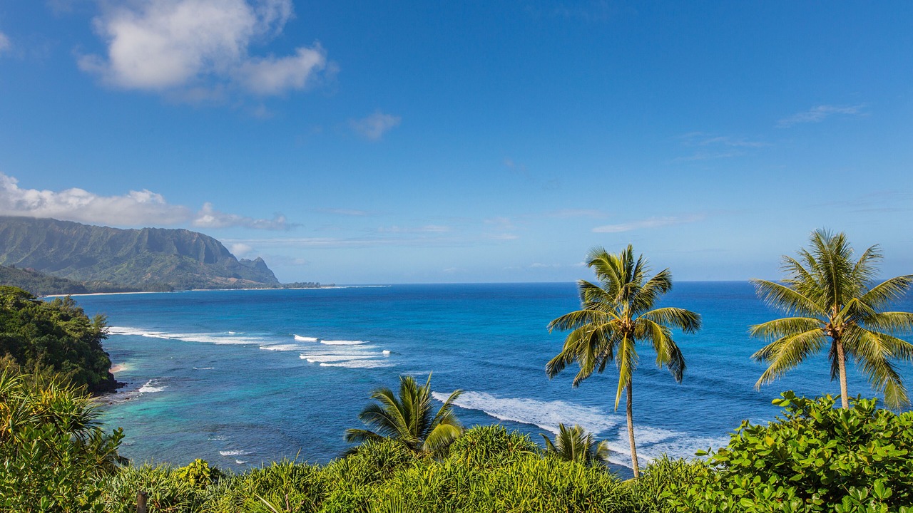 Photo of Others in Princeville