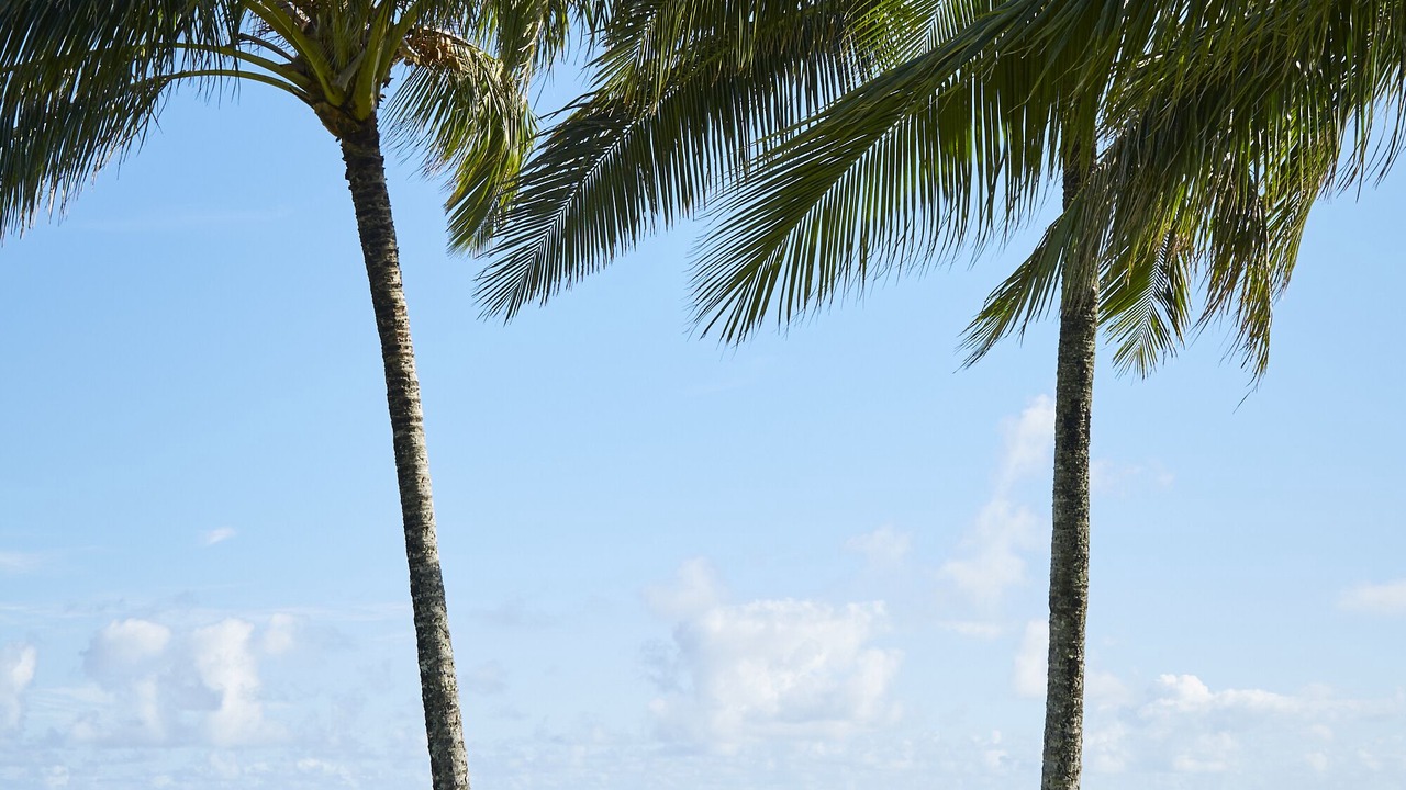 Photo of Others in Princeville