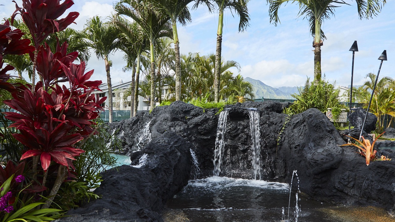 Photo of Outdoor in Princeville