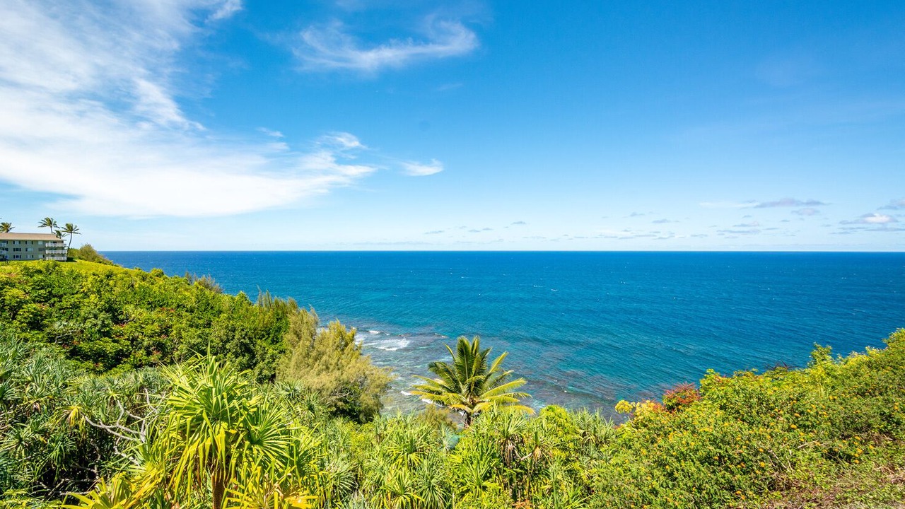 Photo of Others in Princeville