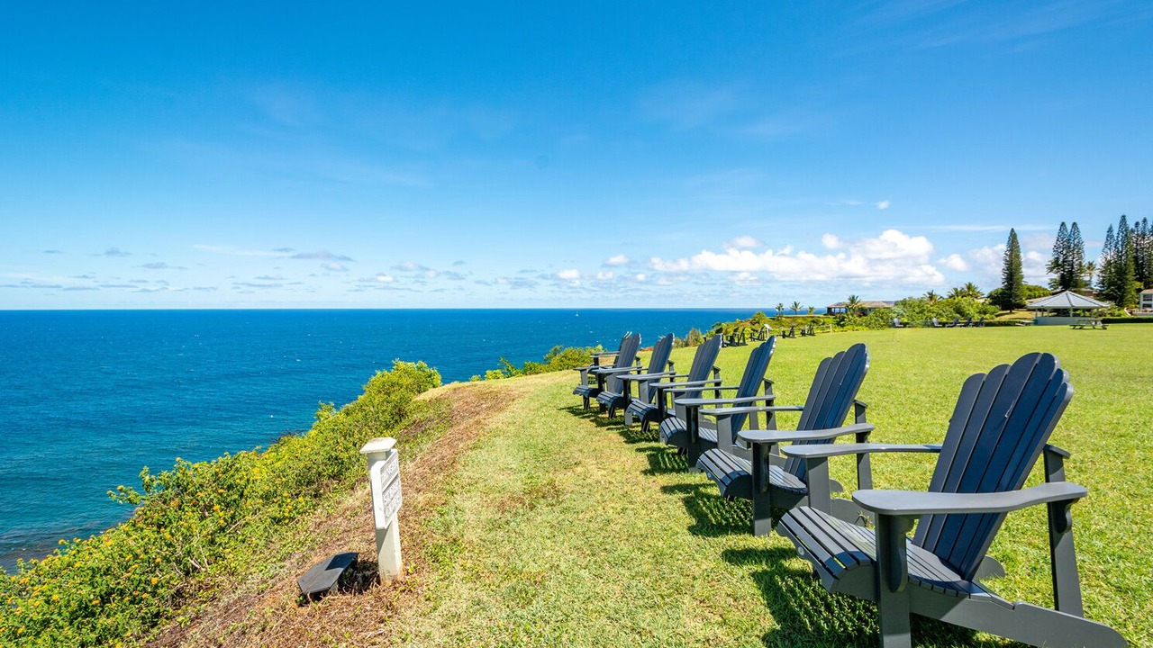 Photo of Others in Princeville