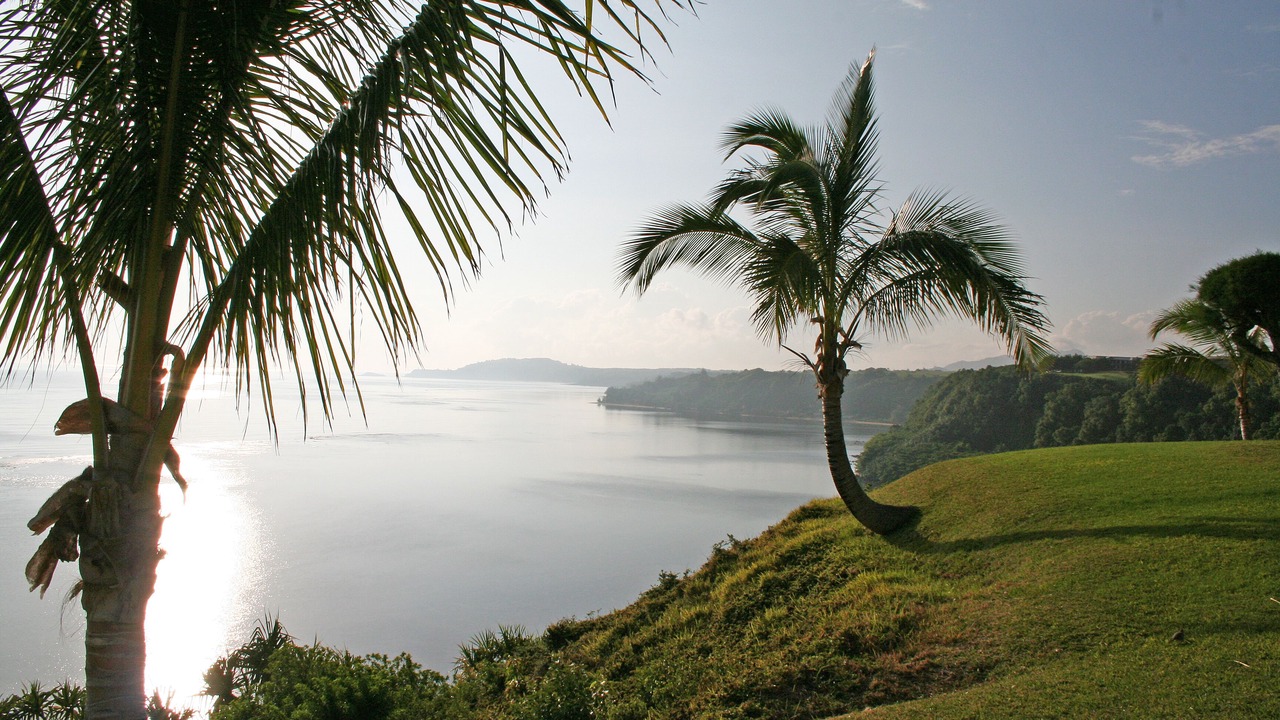 Photo of Others in Princeville