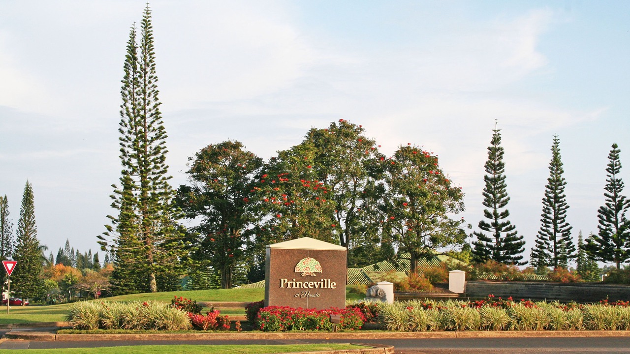 Photo of Others in Princeville