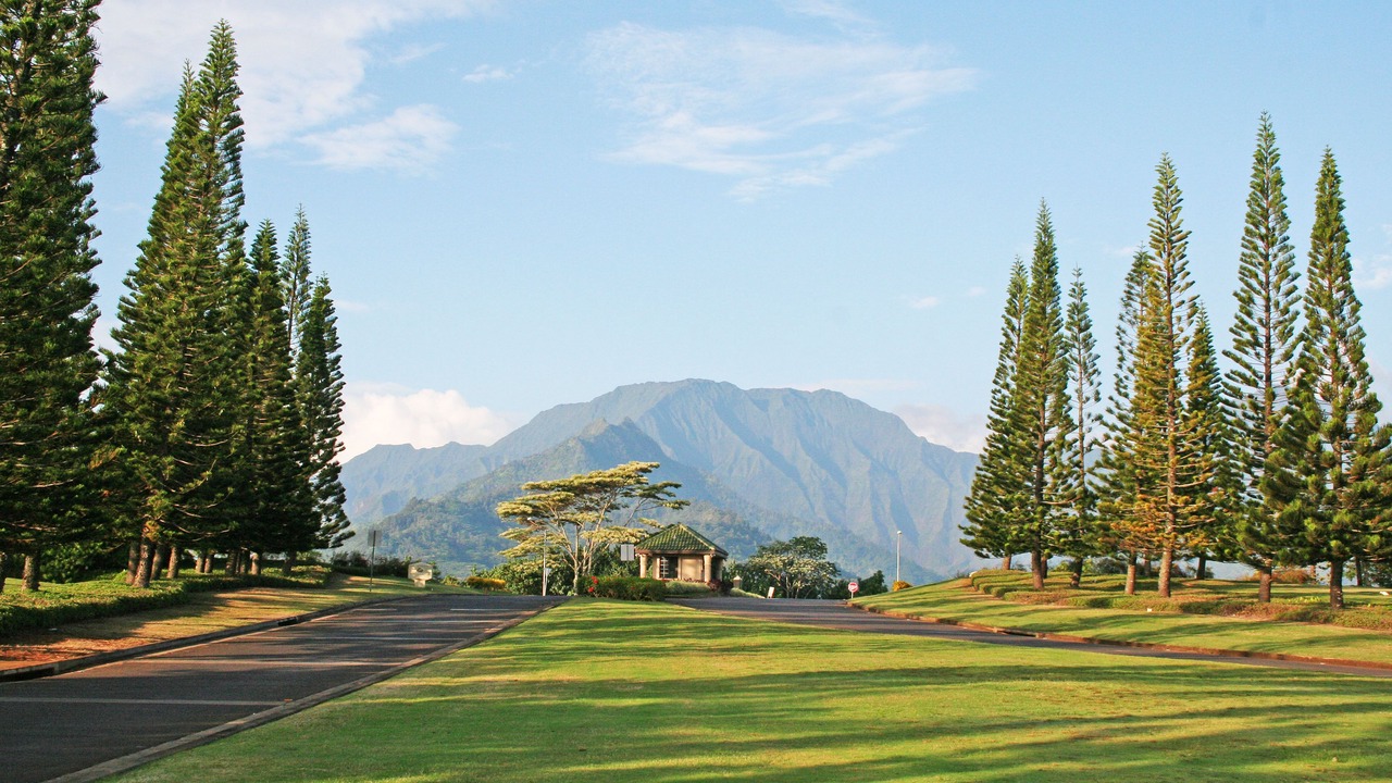 Photo of Others in Princeville