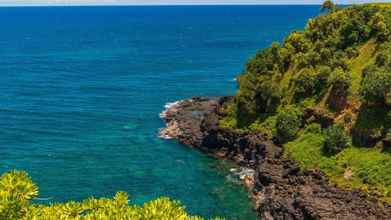 Photo of Others in Princeville