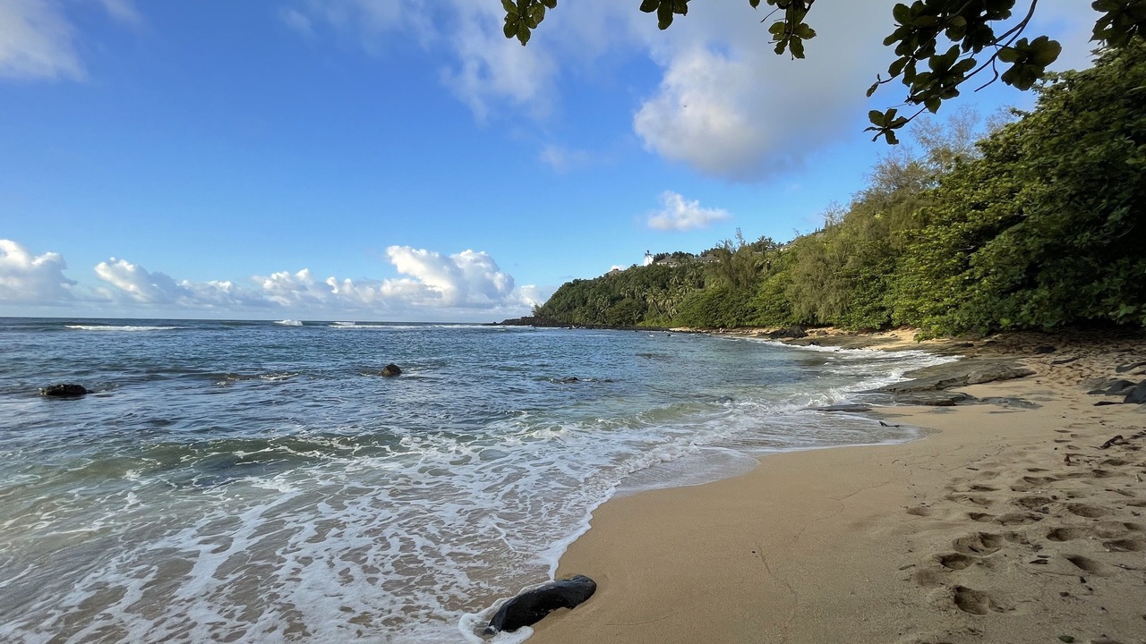Photo of Others in Princeville