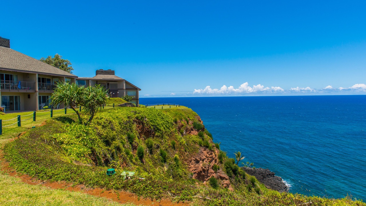 Photo of Outdoor in Princeville