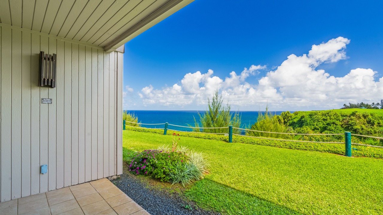 Photo of Others in Princeville