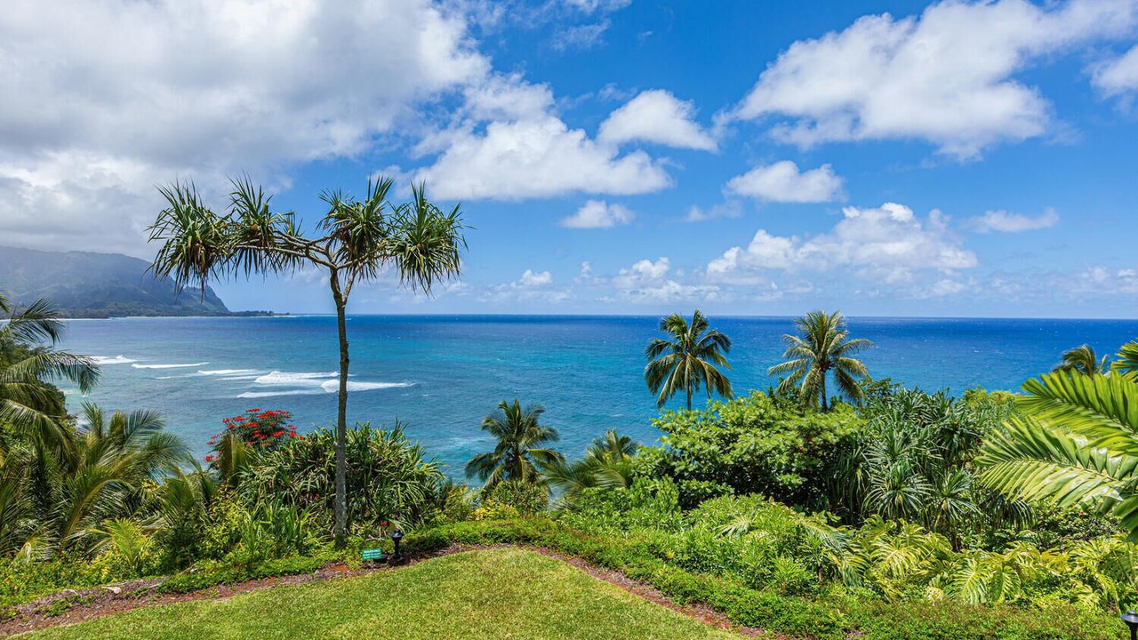 Photo of Others in Princeville