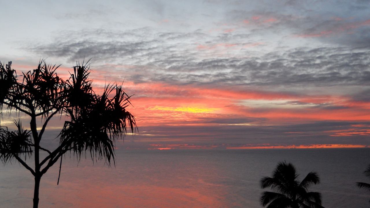 Photo of Others in Princeville