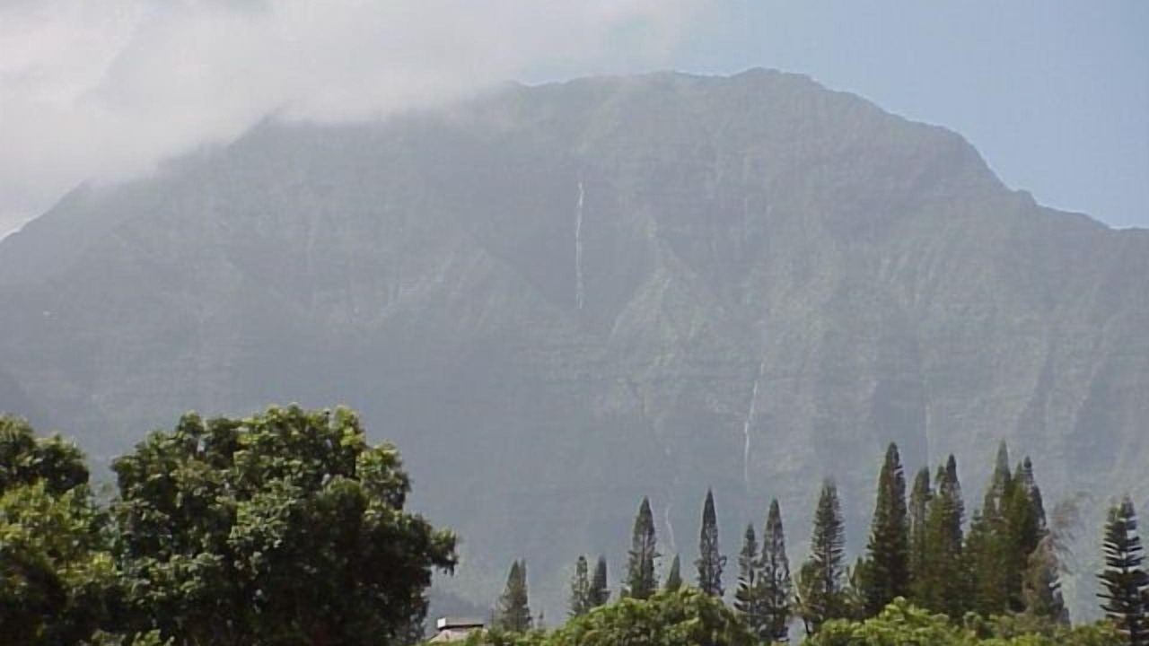 Photo of Others in Princeville